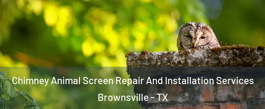  Chimney Animal Screen Repair And Installation Services Brownsville - TX