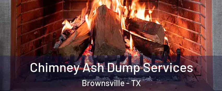  Chimney Ash Dump Services Brownsville - TX