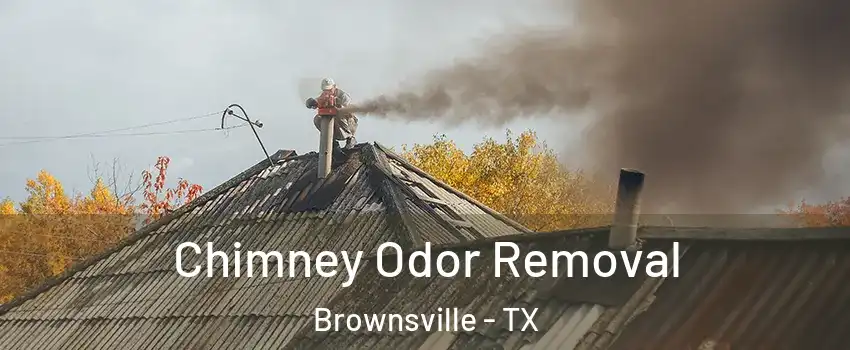  Chimney Odor Removal Brownsville - TX