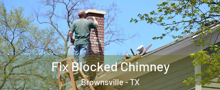 Fix Blocked Chimney Brownsville - TX