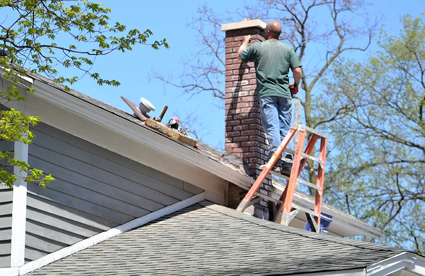 Chimney & Fireplace Inspections Services in Brownsville, TX